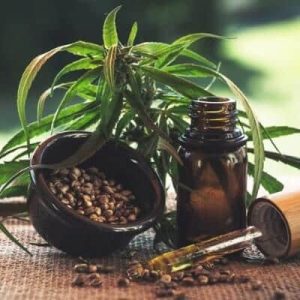 cbd comfort and well-being oil