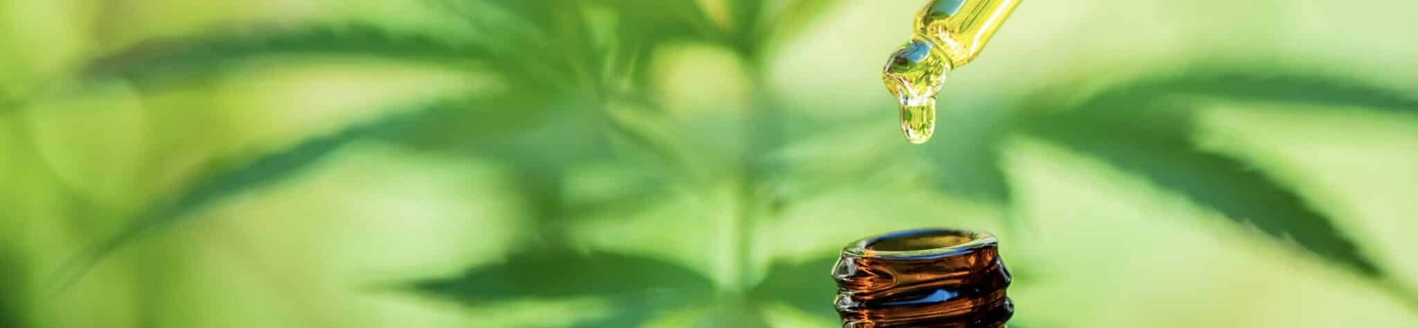 Huile de cbd bio | cbd production