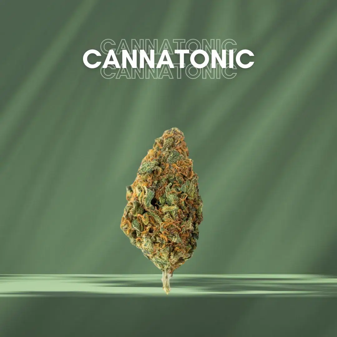 Cbd cannatonic