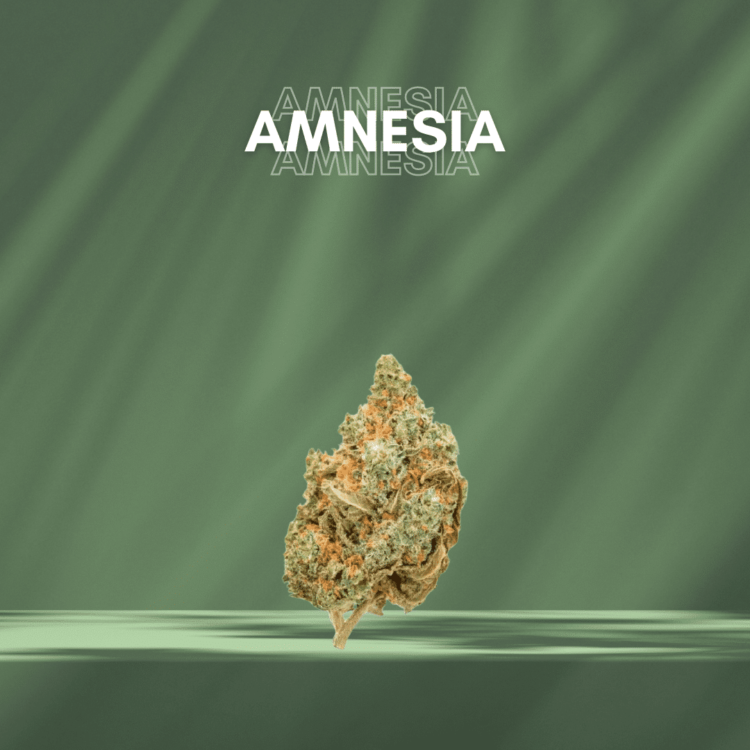 Cbd amnesia